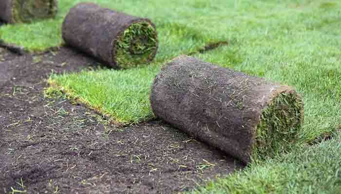 Visuel Covergarden