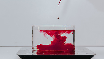 Visuel EverDye