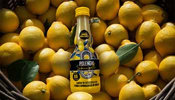 Visuel Polenghi Food